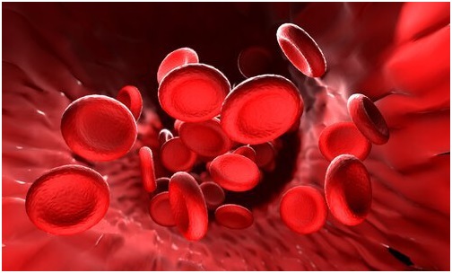 تأثير الماء القلوي على خلايا الجسم