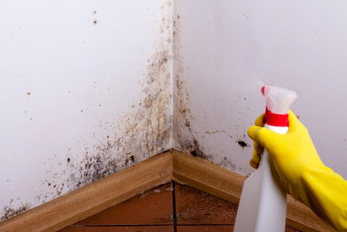 اكتشف كيفية التخلص من البقع الرطبة والعفن من منزلك!