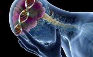 السيروتونين – 9 تأثيرات مفاجئة تظهر بسبب انخفاض مستويات السيروتونين