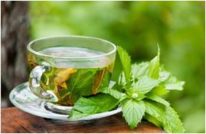 فنجان زجاجي وبجواره أوراق النعناع