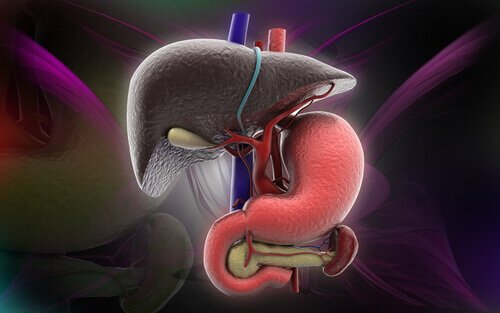 إشارات مرض الكبد الدهني