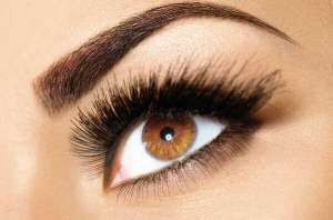 تثبيت الحواجب