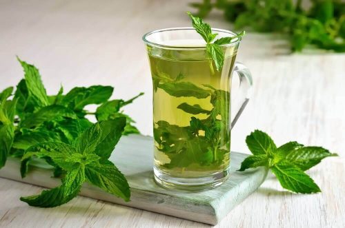 النعناع - اكتشف الخصائص الصحية المتعددة لشاي النعناع