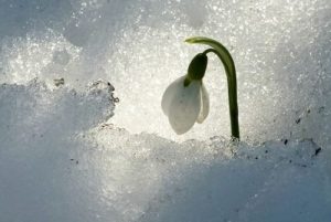 الأوقات العصيبة - تعرّف على "سيسو" الاستراتيجيّة الفنلنديّة المذهلة لتجاوزها