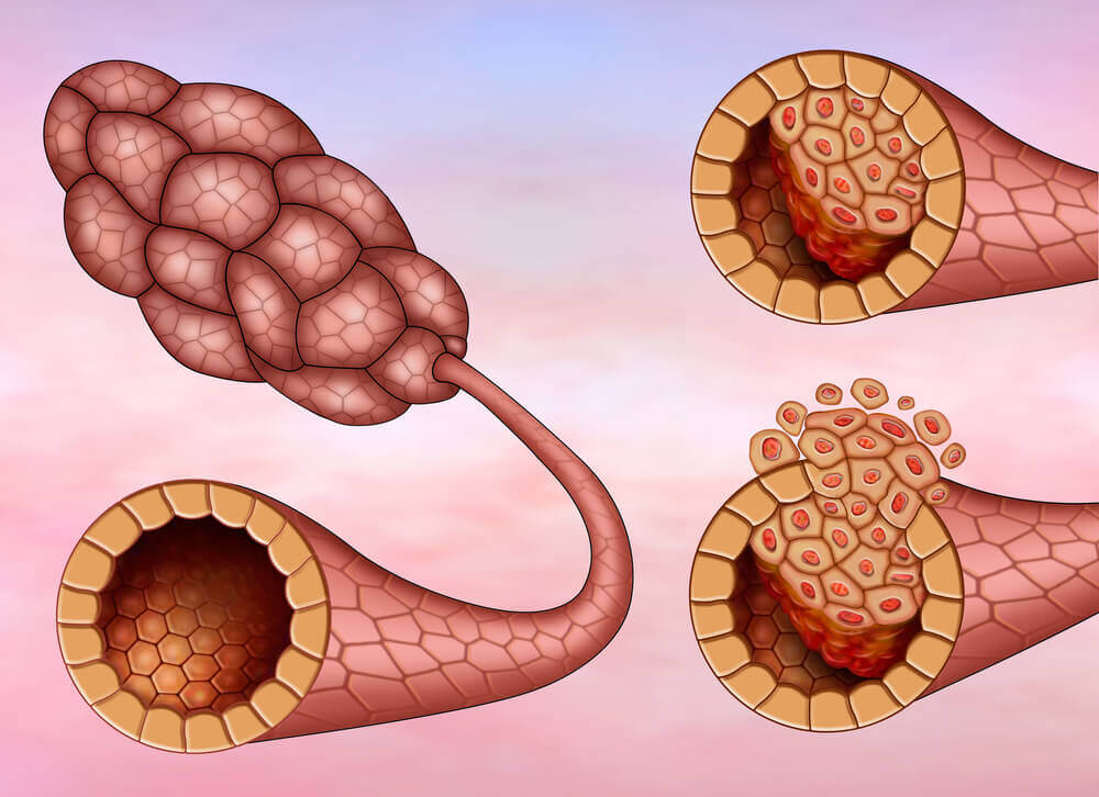قنوات الحليب