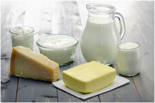 منتجات الألبان