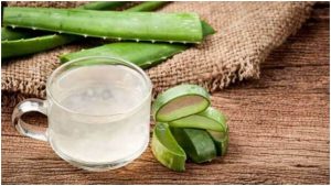 الصبار و علاج البثور