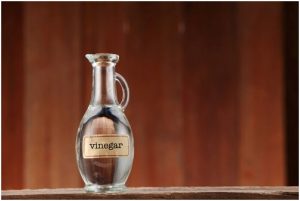 الخل الأبيض و حشرة القمل