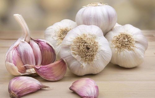 بعض من حبات الثوم الكاملة والفصوص