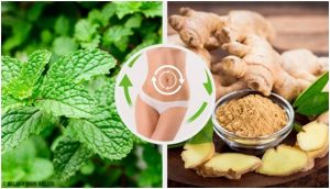 نظام غذائي للتخلص من سموم الجسم