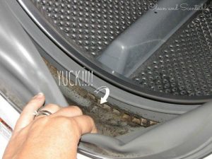 أفضل طريقة لإزالة العفن والأوساخ من غسالة ملابسك