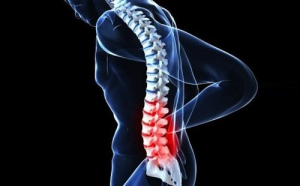 السرطان الحبلي