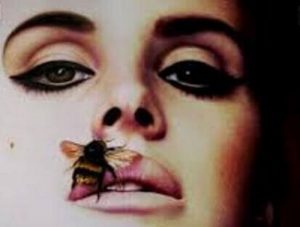 الأشخاص السامين - تعرف على أهم 5 علامات تدل على أنك منهم