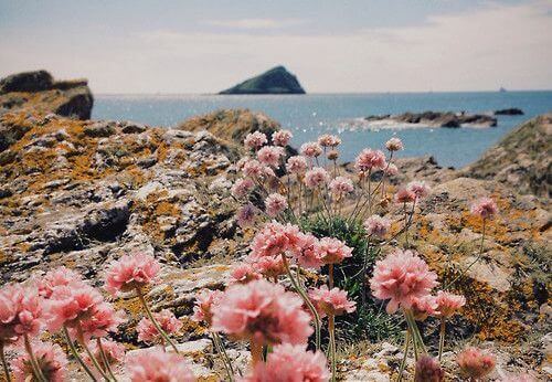 أن تكون نفسك