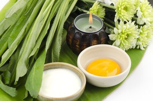 مواد طبيعية تستخدم لعمل أقنعة للبشرة بهدف شد ترهل الثدي