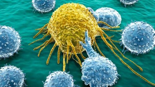 عدد من الخلايا السرطانية