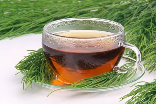 شاي ذنب الخيل