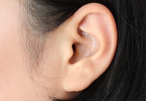 علاج الاذن بأوراق النعنع،علاج الأذن