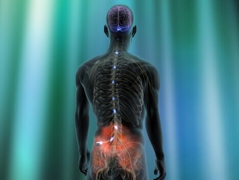 المنباه العصبي