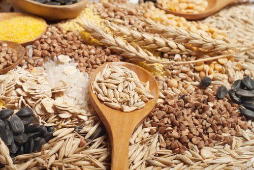 أنواع الحبوب الكاملة في نظام غذائي صحي