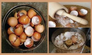 قشور البيض - اكتشف 6 علاجات طبيعية مثيرة للاهتمام باستخدام قشور البيض