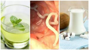 الطفيليات المعوية - 5 علاجات منزلية تساعدك على التخلص منها
