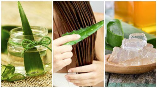 علاجات الألوة فيرا – 5 علاجات تساعدك على تعزيز شعرك