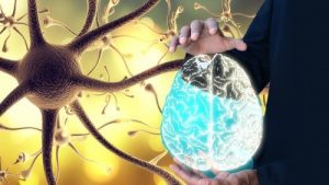 العصب الحائر - كيف تقوم بتفعيل العصب الرئوي المعدي لصحة أفضل