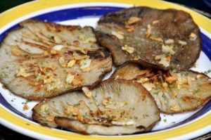 فطر المحار - عزز جهازك المناعي بشكل طبيعي مع فطر المحار