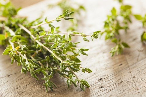 فوائد الزعتر البري لمرضى متلازمة القولون العصبي