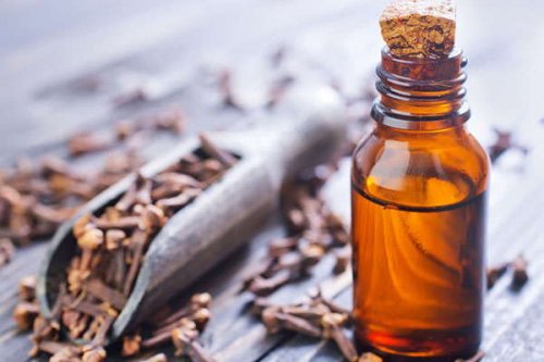 زيت القرنفل لـ محاربة تورم اللثة