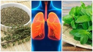 صحة الرئتين - 8 أعشاب يمكنك من خلالها تحسين صحة رئتيك