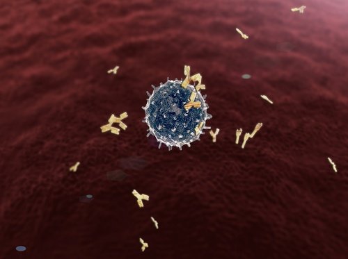 تحفيز الجهاز اللمفي