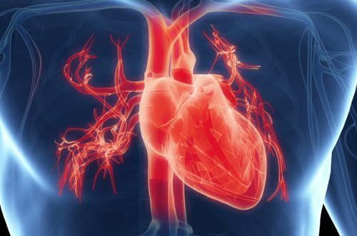 مشاكل القلب – 7 من الأعراض الشائعة التي تشير إلى إصابتك بمشكلات القلب