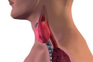 مشكلات الغدة الدرقية - كيف تكتشف أن غدتك الدرقية لا تعمل بشكل سليم