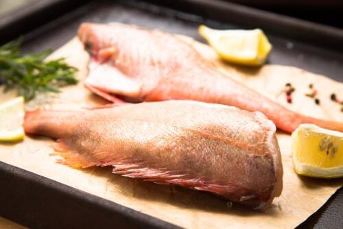 السمك الصخري