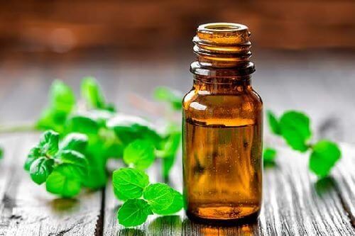 زيت النعناع