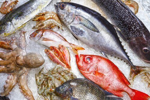 الأسماك غير الصحية - 9 أنواع يُفضل تجنبها للحفاظ على الصحة