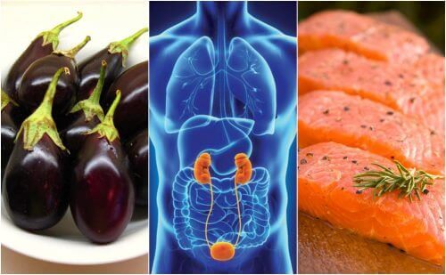 الحفاظ على صحة الكلى - 7 أطعمة طبيعية تساعدك على تعزيز الصحة الكلوية
