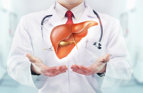 الكبد الدهني - كافح الكبد الدهني بهذه العلاجات الطبيعية الرائعة