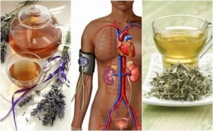 مشكلة ارتفاع ضغط الدم - 5 علاجات من الأعشاب الطبيعية لخفض ضغط الدم