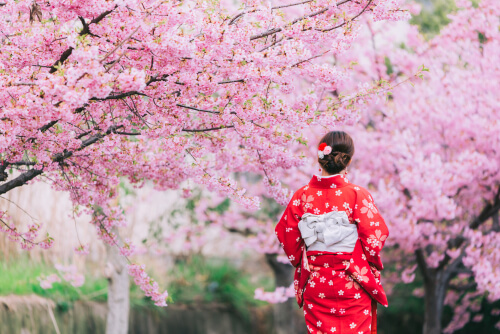الحكمة اليابانية القديمة - اشعر بالسعادة والراحة كل يوم معها