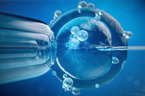 الإخصاب الاصطناعي