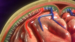 مضخة التسريب - اكتشف معنا استخداماتها وكيف تفيد المرضى