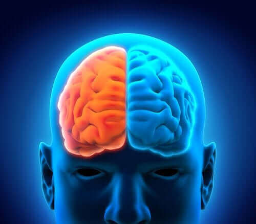 كيف يؤثر الاكتئاب فسيولوجيًا على الدماغ