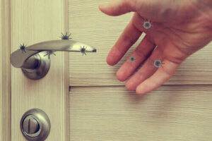 كم من الوقت يستطيع فيروس كوفيد-19 البقاء على الأسطح؟