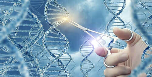 الطفرات الجينية - اكتشف معنا ما هي وما هي أنواعها