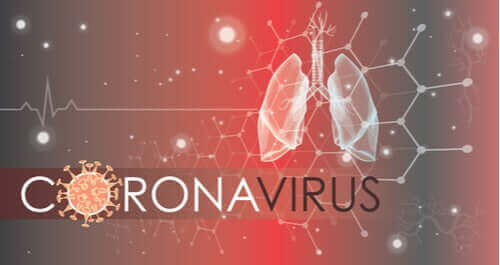 كيف يهاجم فيروس كورونا المستجد خلايا الرئة