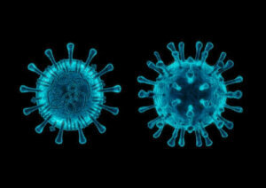 5 أشياء تحتاج إلى معرفتها عن فيروس كورونا الكلاب