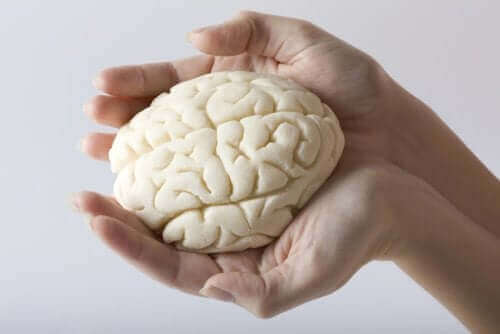 نظام المكافأة في الدماغ - كيف يعمل وأي من أجزاء المخ تشارك في العملية؟
